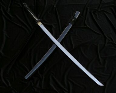 PROF MIECZ KATANA TRENINGOWY + STOJAK 5KN5-420